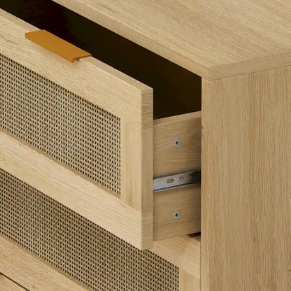 31.50L 3-Drawers Rattan Cabinet